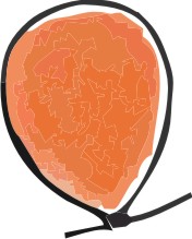 balão laranja