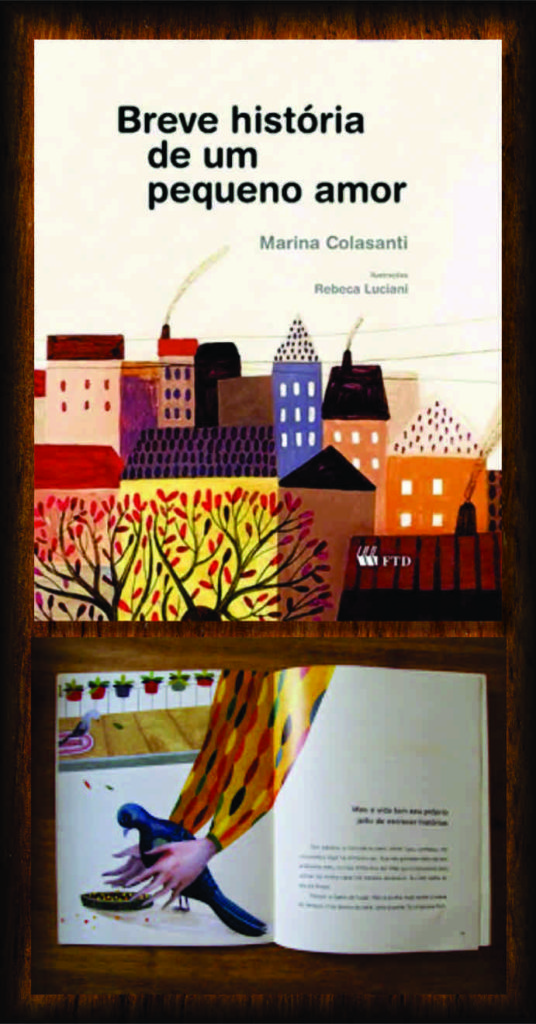 livro breve história de um pequeno amor