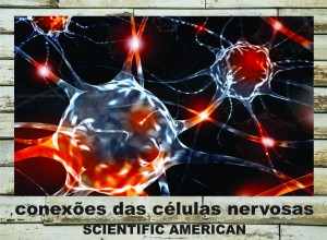 células nervosas