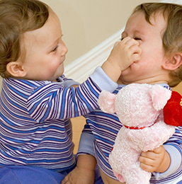 bebês disputando urso