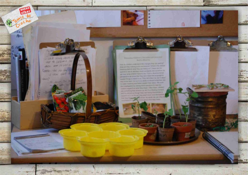 registro-do-trabalho-da-crianca-1