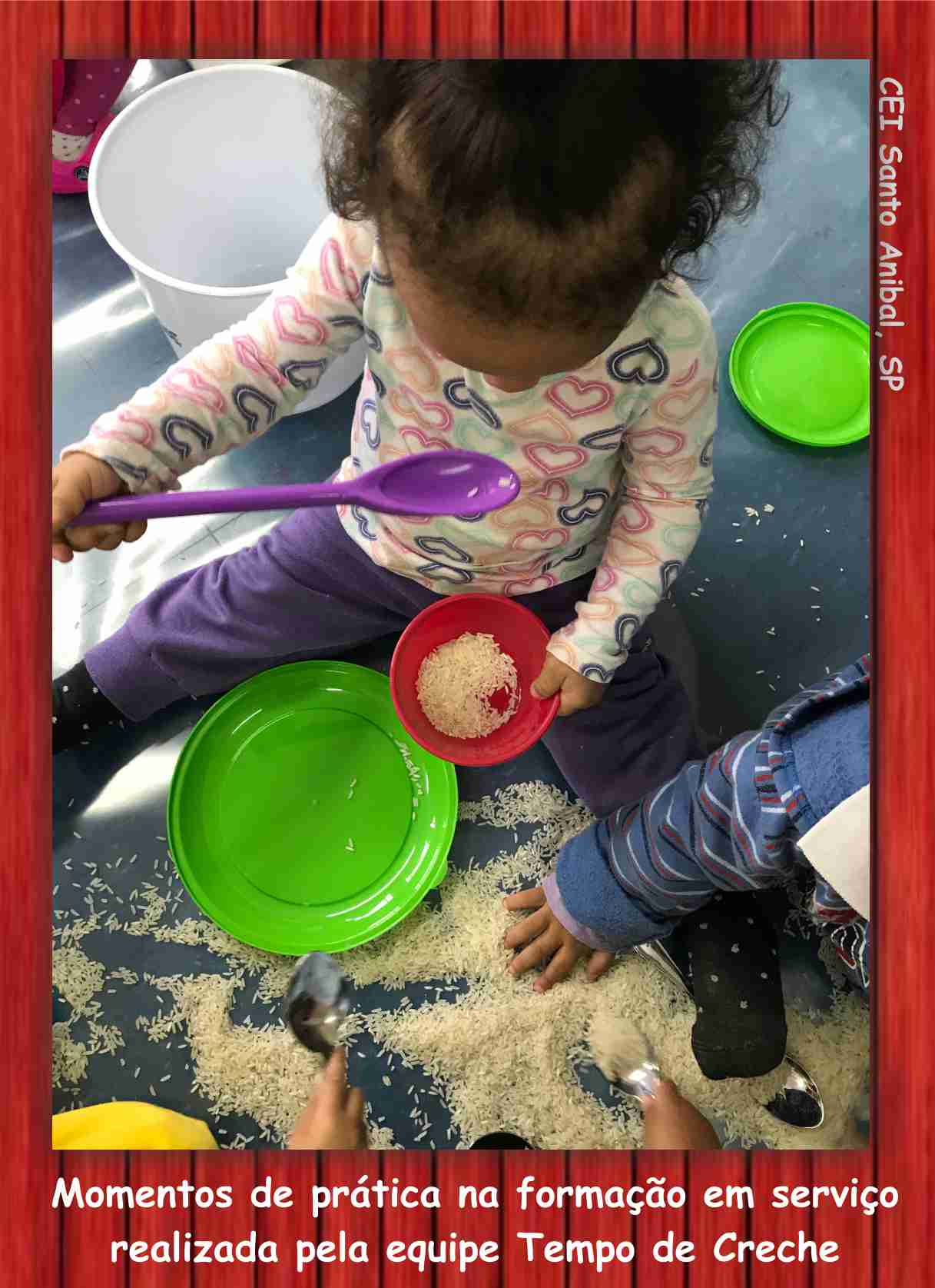 Proposta com arroz 2