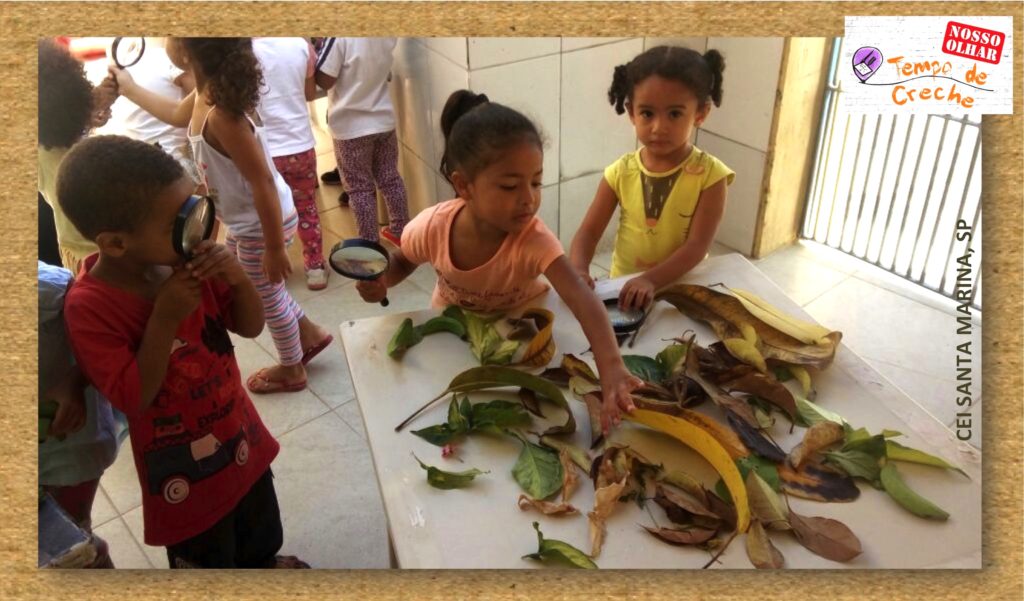 Atividade sobre a Natureza para a Educação Infantil