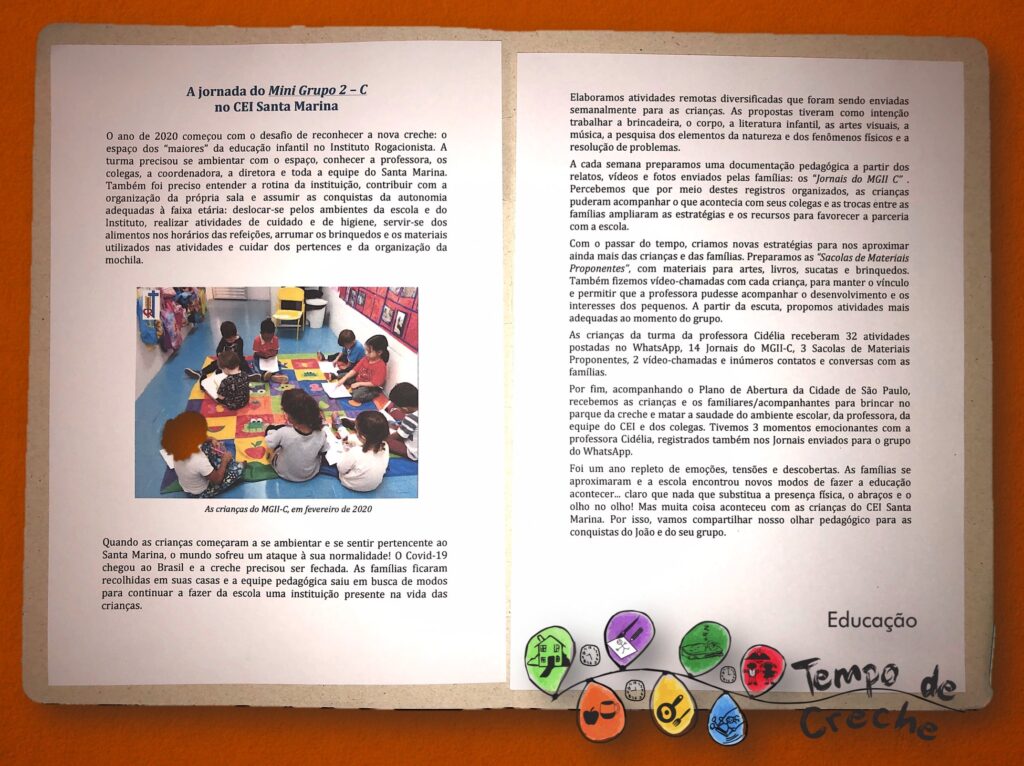 relatório individual pandemia