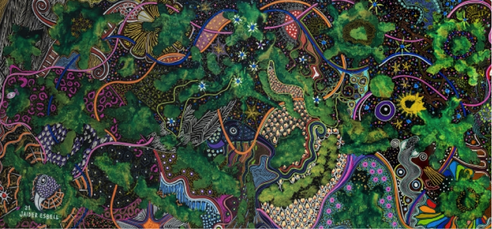 Conversa das entidades intergalácticas Jaider Esbell