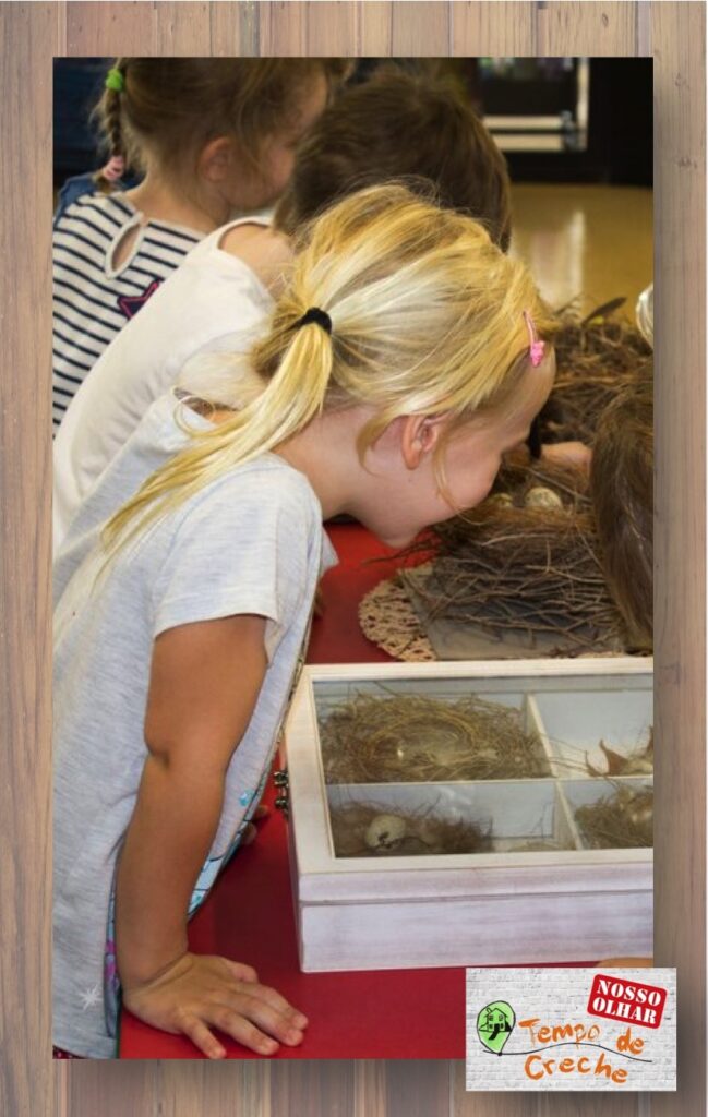 investigação elementos da natureza