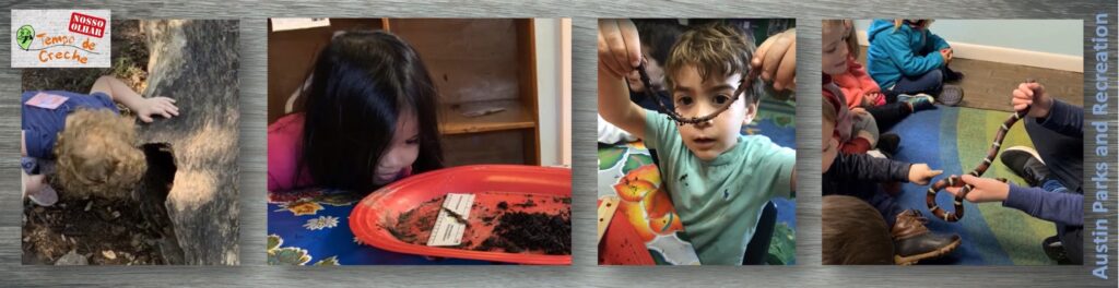 Insvestigação minhoca