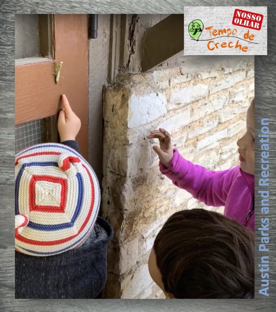 investigação louva a deus