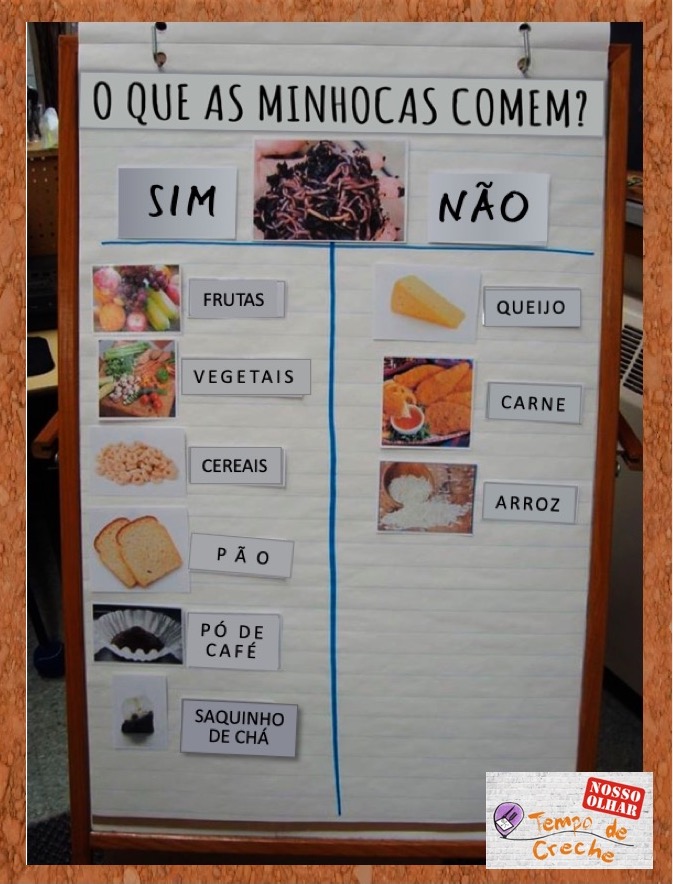Cartaz da sala sobre minhocas
