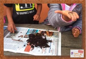 Observacao da minhoca