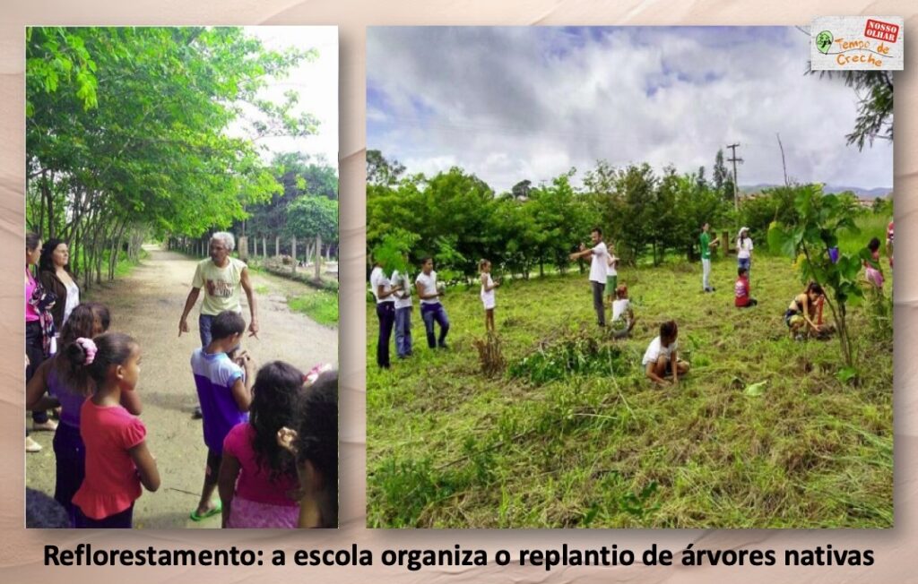 Replantio de arvores Quilombo Muquem